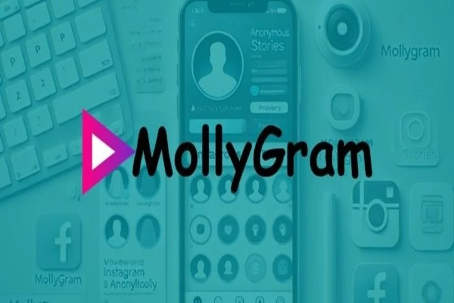 Mollygram Story Viewer