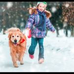 Mylovelyfurryfriend Discover Expert Tips on Dog Health