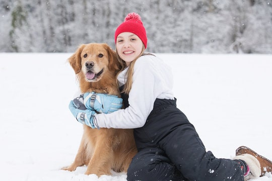 Mylovelyfurryfriend Discover Expert Tips on Dog Health