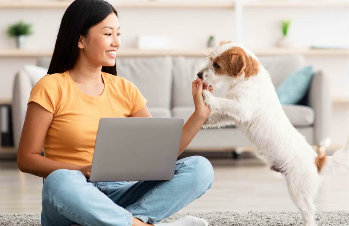 Mylovelyfurryfriend Discover Expert Tips on Dog Health
