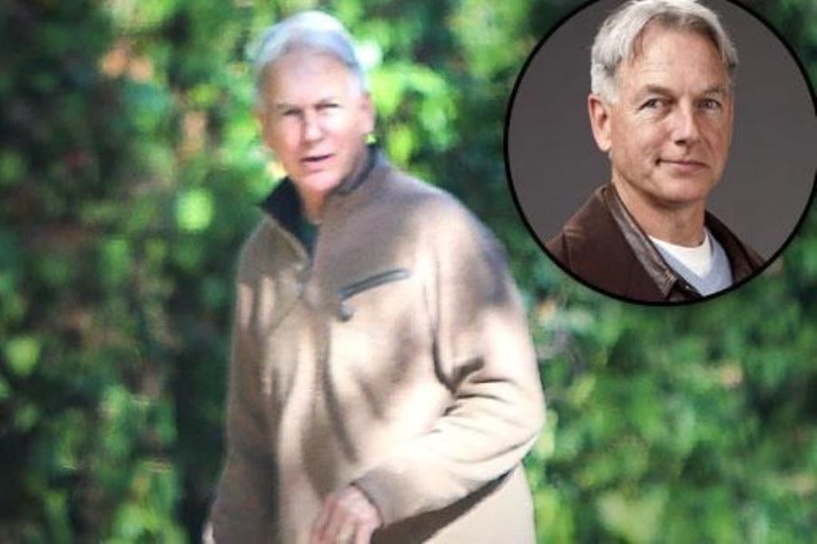 Mark Harmon health condition